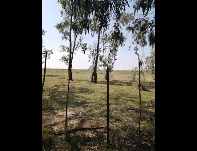33HA FARM FOR SALE IN INGAGANE
